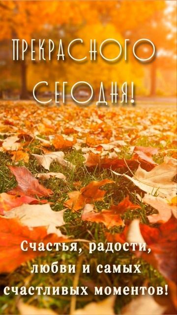 С Добрым утром! Хорошего дня!