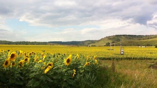 Татарстан База отдыха Алтай красивые пейзажи