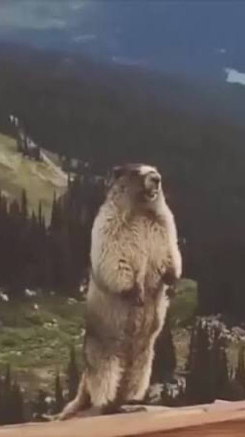 Лето