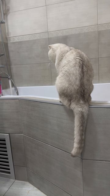 Нужен Срочно 🚿