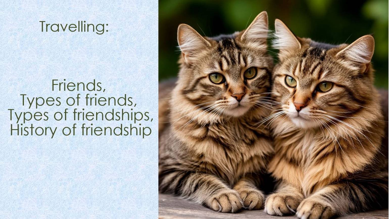 Story # 100 : Travelling: Friends, Types Of Friends, Types Of Friendships, History Of Friendship