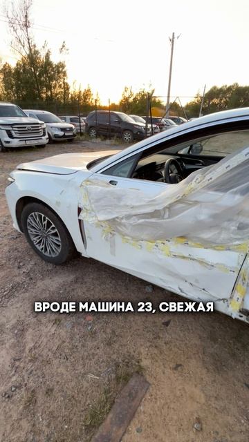 ошибка #clinlicar #automobile #автоподборспб #автоподбормосква