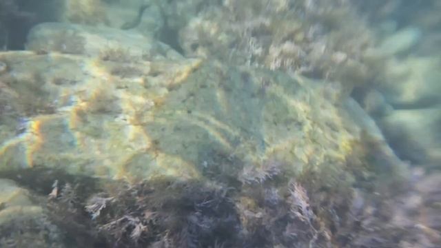 #113.Анапа.Опять пришло тепло,и мы купаемся.Море чистое,но не очень тёплое.