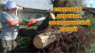 Спиливаю деревья на пасеке.Электрическая пила DAEWOO DACS 1900 E
