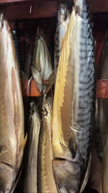 Популярная и полезная СКУМБРИЯ!