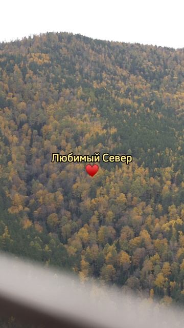 Такой живой и разнообразный любимый Север!