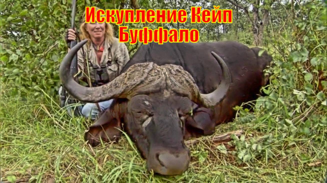 Искупление Кейп Буффало
