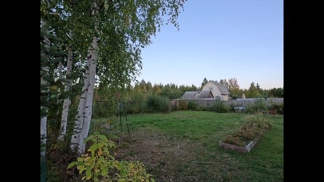 Участок в СНТ Беломор