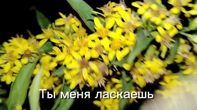 Свет - Мальчик чик чик