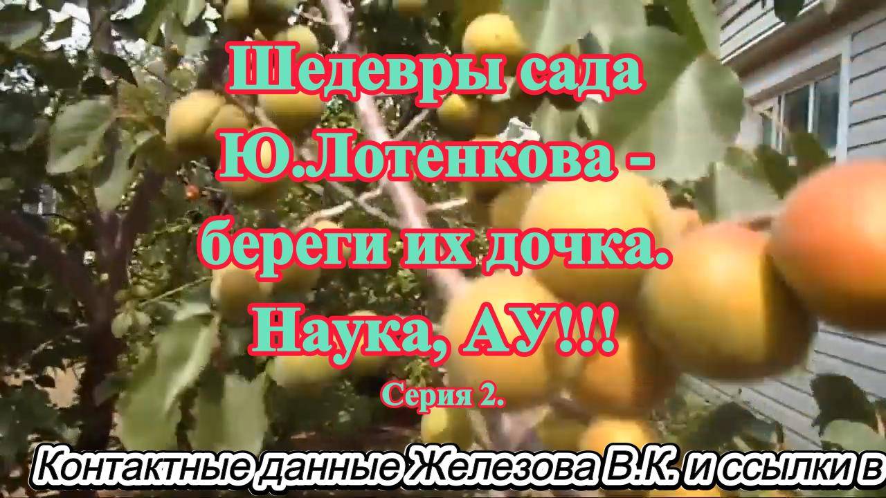 Шедевры сада Ю.Лотенкова - береги их дочка. Наука АУ!!! Серия 2.