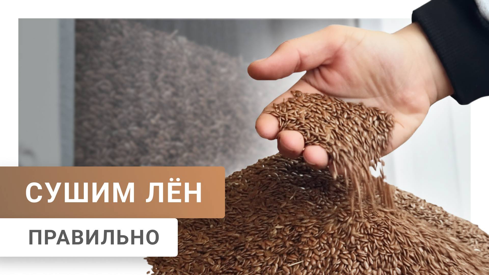 Сушка льна  Уборочная кампания 2025