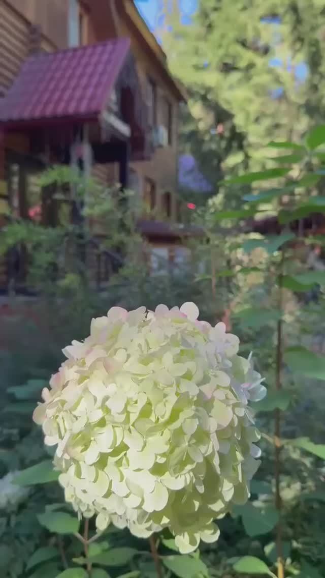 Местечко для релакса и перезагрузки 