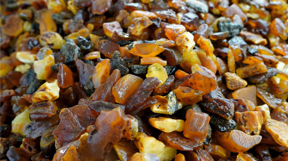 Увеличение добычи солнечного камня на Калининградском янтарном комбинате