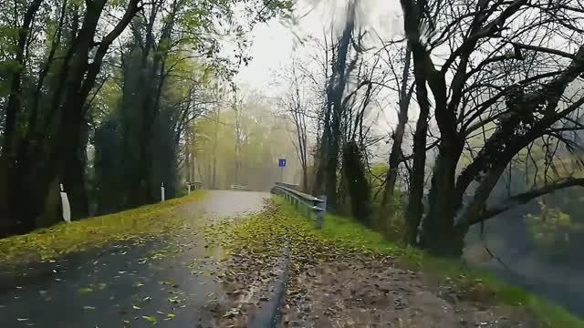 ЧТО ТАКОЕ ОСЕНЬ