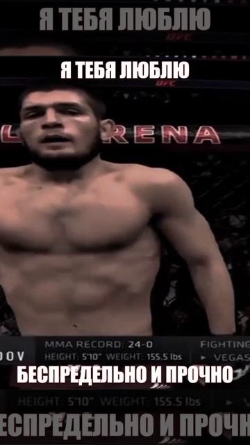 UFC Хабиб Нурмагомедов