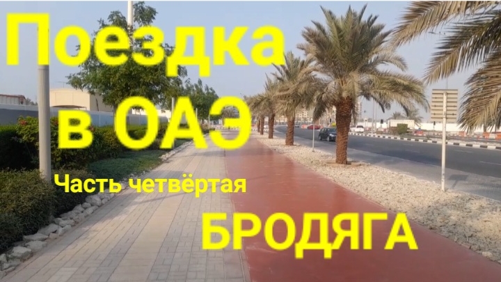 Поездка в ОАЭ. часть 4. Бродяга.