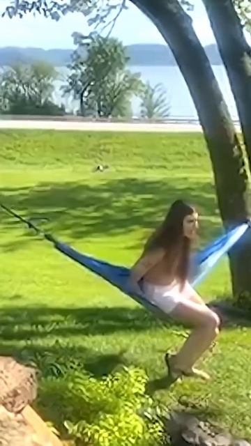 Смешные видео