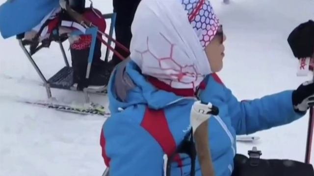 Ролик ДЮС