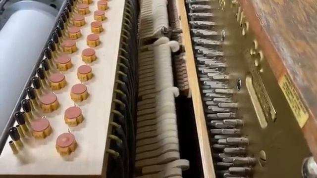 O-roll Orchestrion Plays The Atlanta Rag. Оркестр 