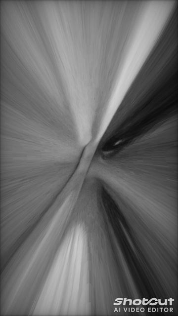 1000020335.mp4