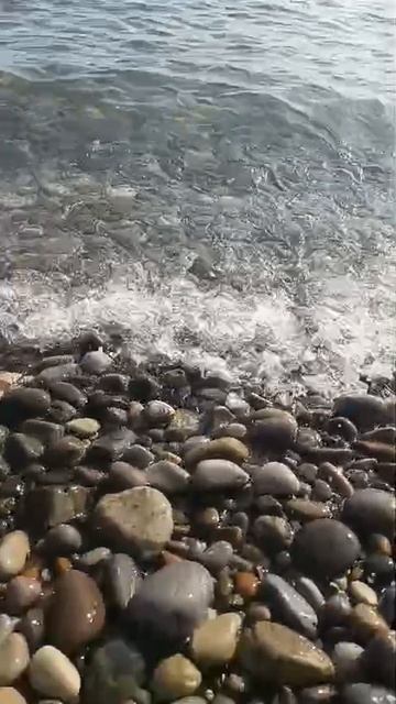 О море море, волны и камни!