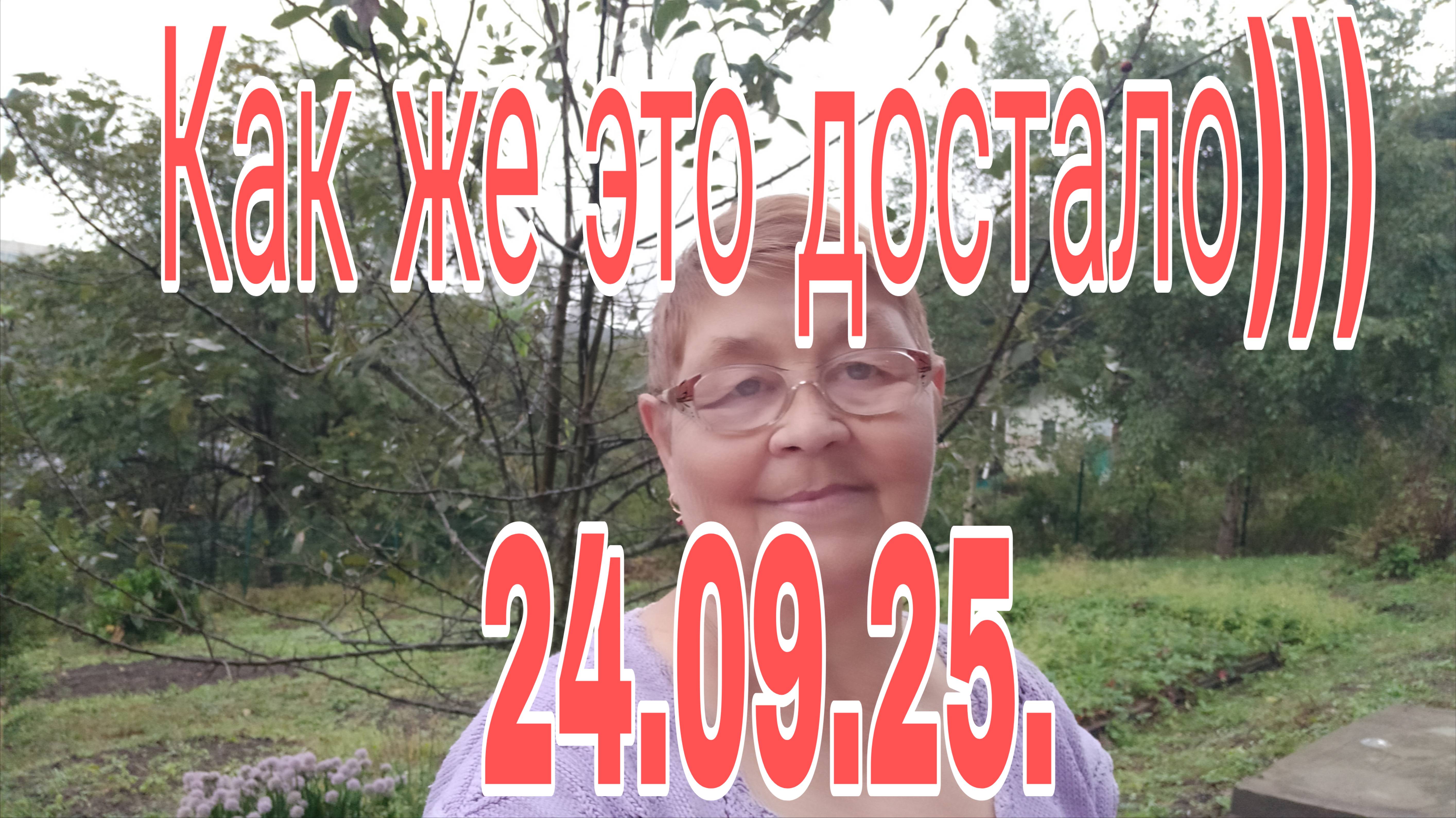 24.09.25.  КАК ЖЕ ЭТО ДОСТАЛО )))  ОБО ВСЕМ СРАЗУ )))