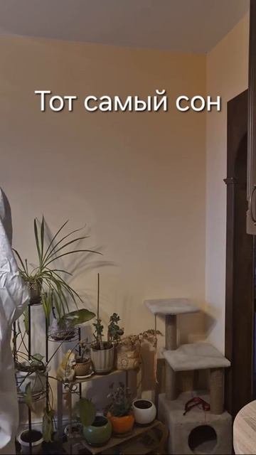 Тот самый ночной кошмар #мистика #юмор #смешно #ужасы #horror  #film #shorts #шортс #фильм