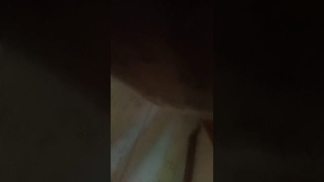 VID20250924173817 моя жизнь
