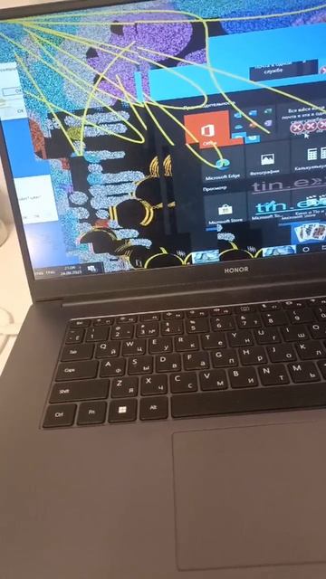 tin.exe и salinawin.exe