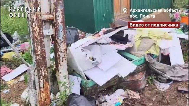 Свалка в Поньге