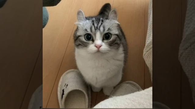 мм бананчики