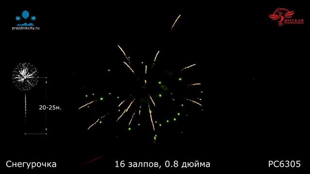 РС6305