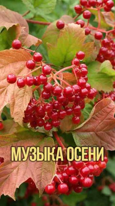 Музыка осени