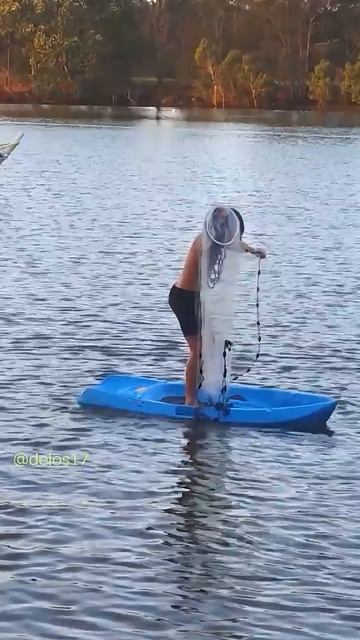 Смешные видео