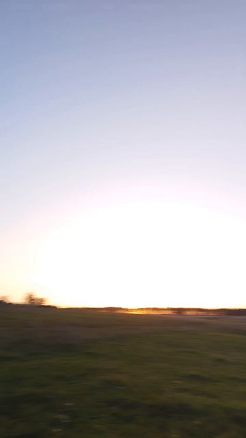 Утро ритуал стадо #утро #ритуал #стадо #morning #ritual #herd #ГараевДамир #GaraevDamir #shorts #sho