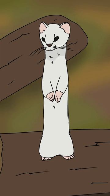 Рисую ласку #art #speedpaint #animal #drawing #digitalart #спидпэйнт