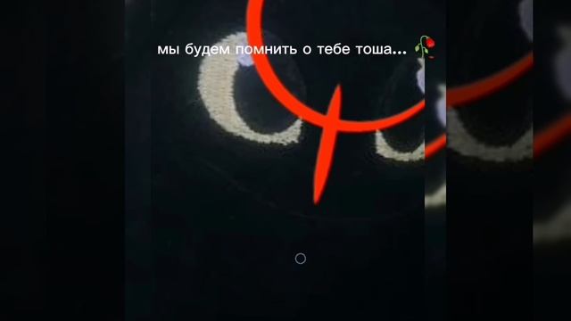 читайте в закрепе