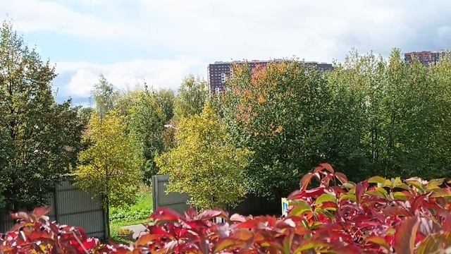 Комсити в Румянцево Небольшая прогулка вокруг БУ