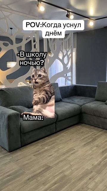 пов: когда уснул днем