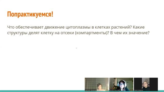 Цитоплазма и ядро 22.09.25 (2)