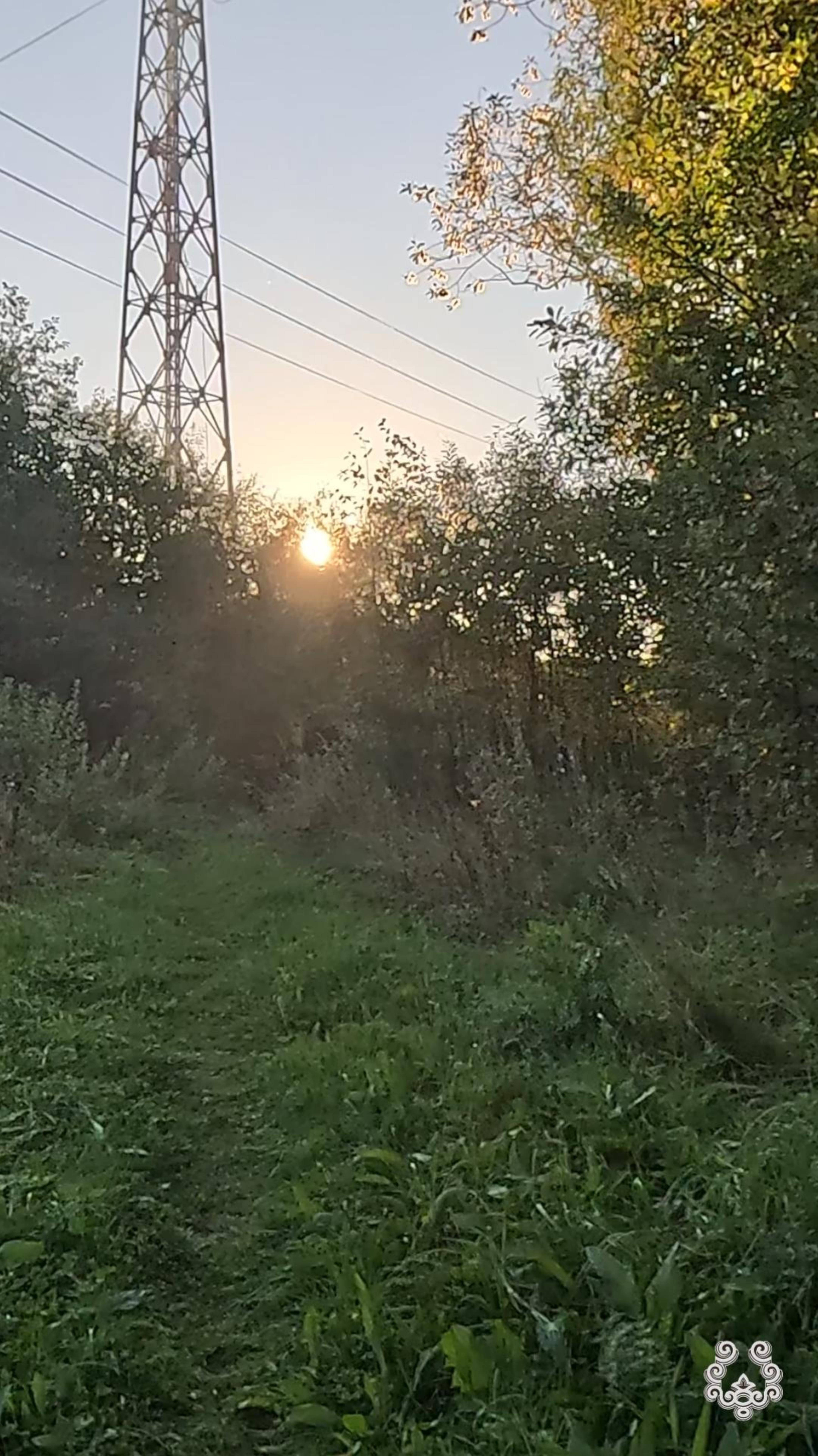 Всем хорошего настроения