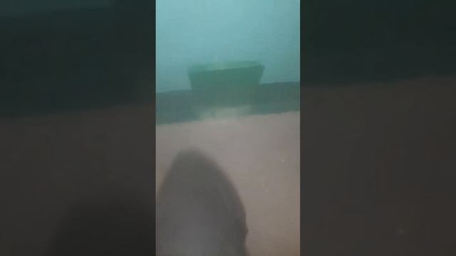 фильм сильная темнота (от фильма магическая ванна)