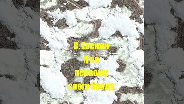 С. Есенин Я по первому снегу бреду
