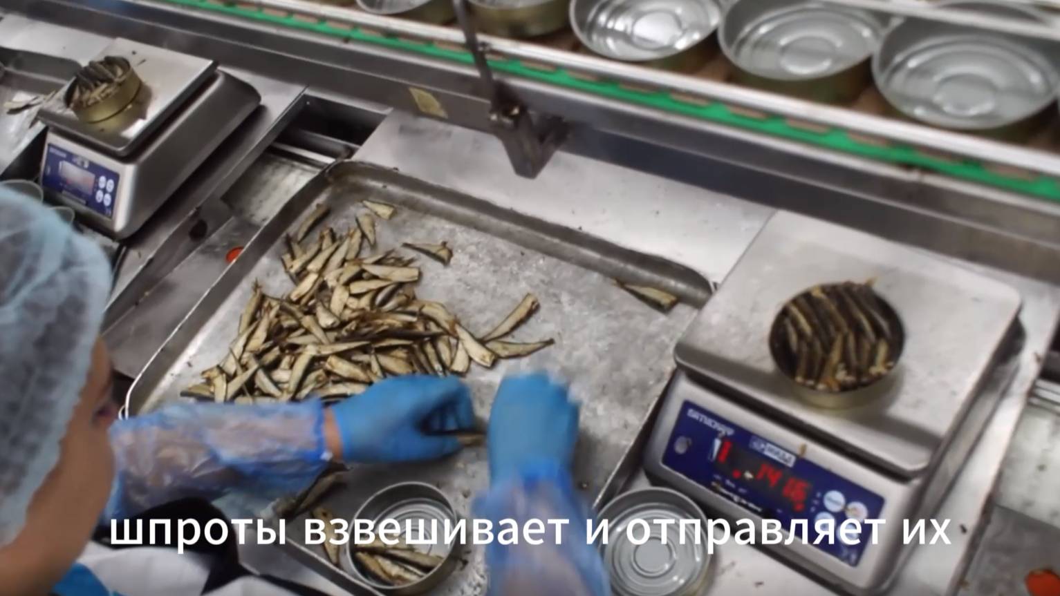 Как производят правильные Крымские шпроты. Пролив 1873. Крым наш. Знайте об этом