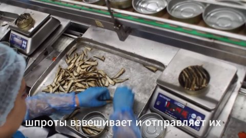 Как производят правильные Крымские шпроты. Пролив 1873. Крым наш. Знайте об этом