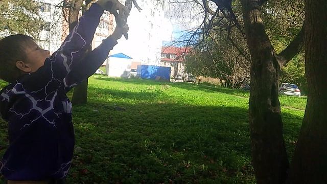 Чернобыль смешно  телефончик