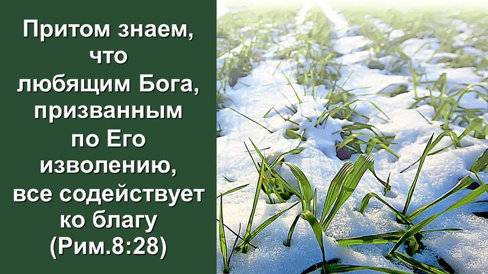 Любящим Бога, призванным по Его изволению, все содействует ко благу (Рим.8:28)