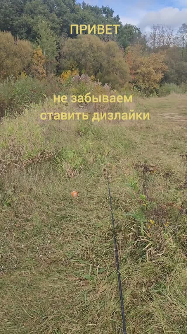 MIFINE 