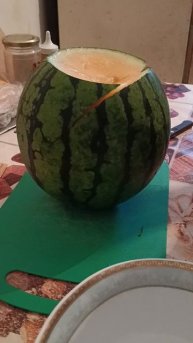 В этом году с арбузами не повезло. Единственный оранжевый получился. Дегустируем!