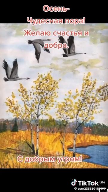 Доброе утро